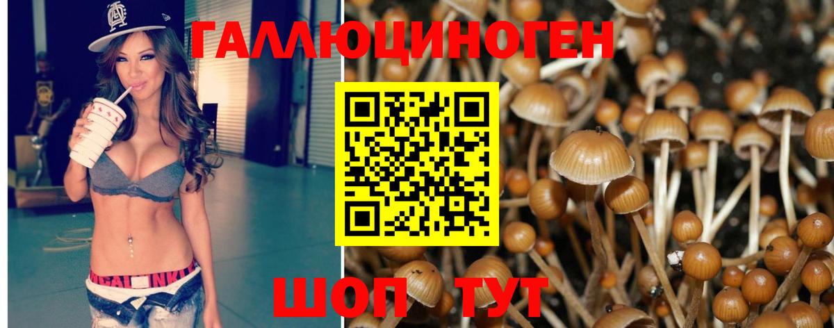 Галлюциногенные грибы MAGIC MUSHROOMS Отрадное